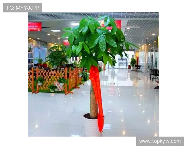 开运网免费版的使用技巧与实用攻略，助你轻松掌握每日运势变化